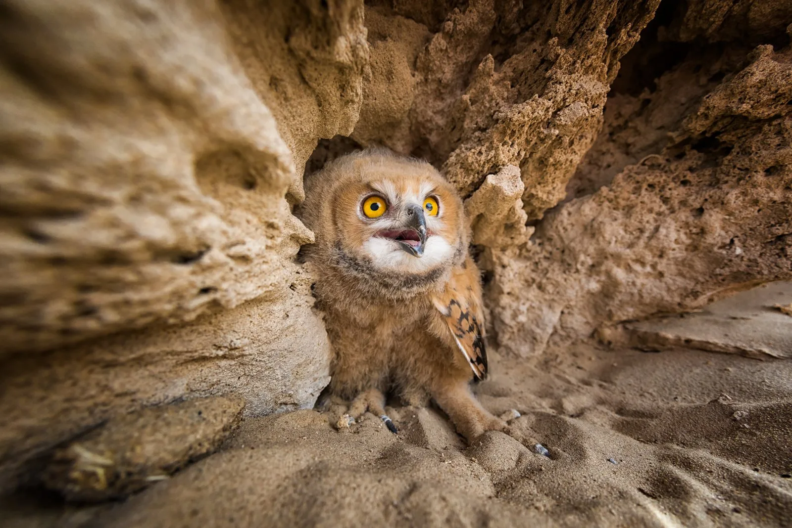 في البيت