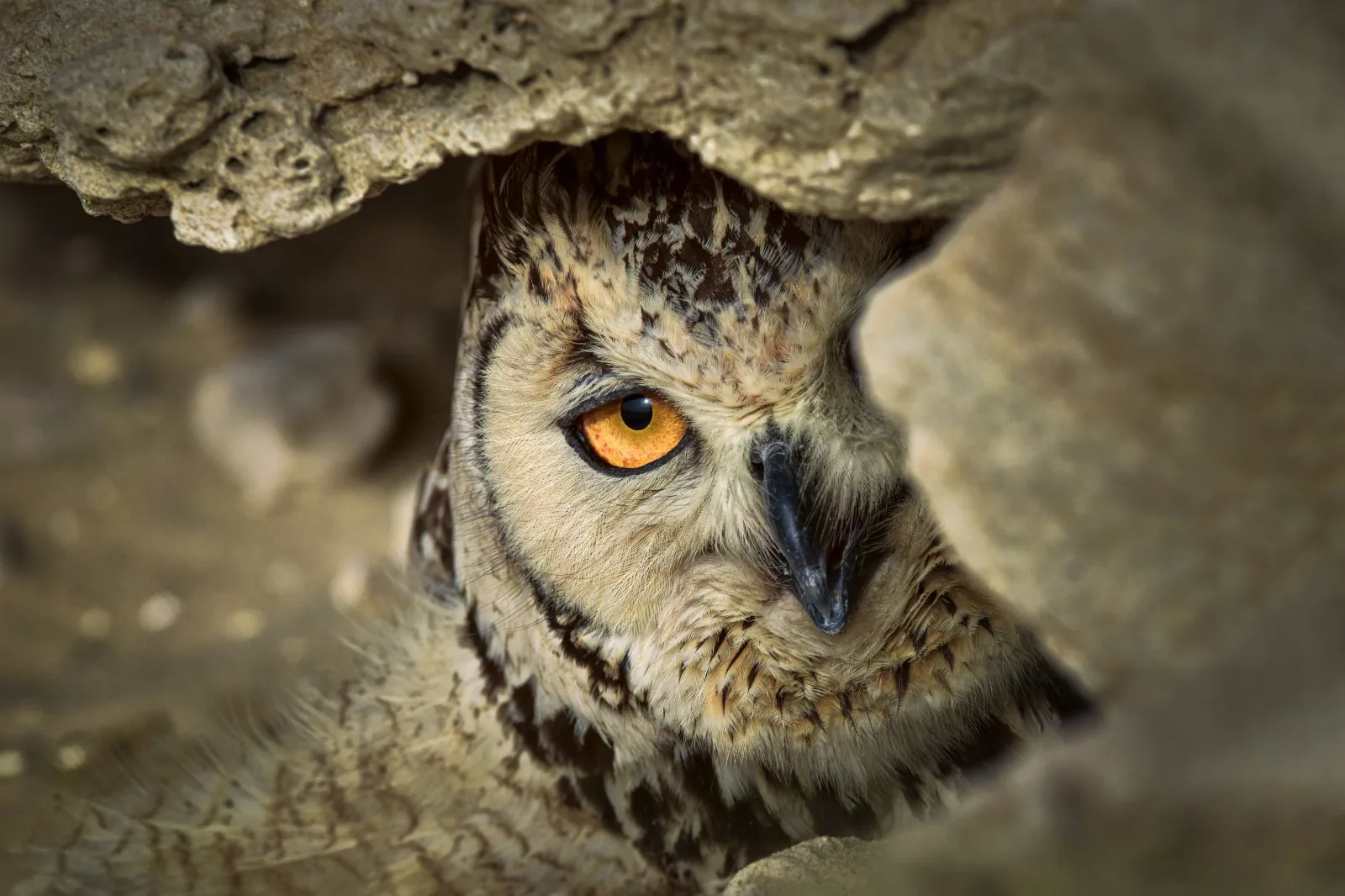 نظرة حذرة