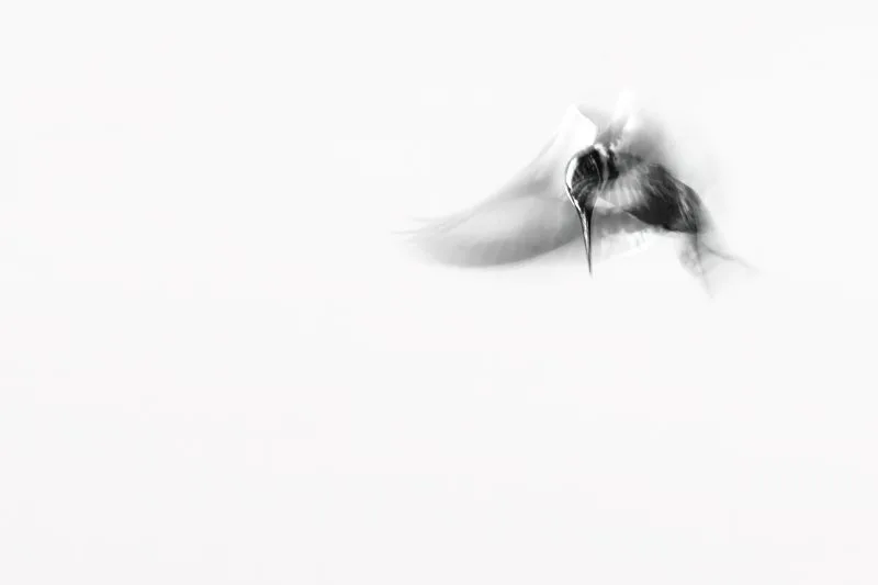 أثر الرحلة