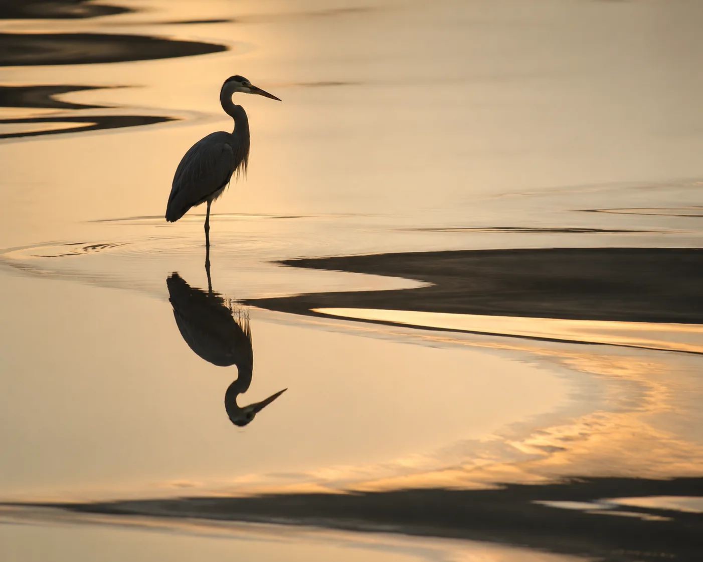 Nature as Art